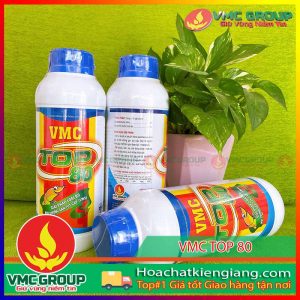 vmc-top-80