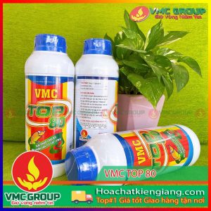 vmc-top-80